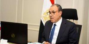 وزير الخارجية والهجرة يشارك في اللقاء الافتراضى مع الجالية المصرية في المملكة المتحدة