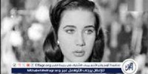 زبيدة ثروت تتصدر تريند جوجل وتخطف القلوب من جديد: قطة السينما التي هزمها السرطان وخلّدتها الأعين