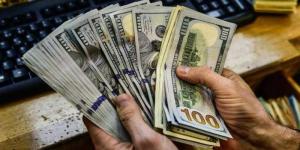 تحويلات الخارج تتحدى الأزمات.. واحتياطي النقد الأجنبي يسجل رقمًا قياسيًا