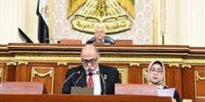 زعيم الأغلبية البرلمانية: لن نقبل المساس بالسيادة المصرية