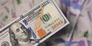 ارتفاع سعر الدولار مقابل الجنيه لمستوى جديد في البنوك المصرية