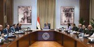 رئيس الوزراء يتابع إجراءات ترشيد استهلاك الكهرباء في الحي الحكومي بالعاصمة الإدارية