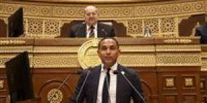 النائب محمد أبو غالي: مجلس الشيوخ ركيزة راسخة في الحياة النيابية وعزز من جودة التشريع المصري