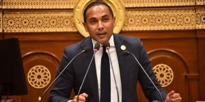برلماني: مجلس الشيوخ ركيزة راسخة في الحياة النيابية وعزز من جودة التشريع المصري
