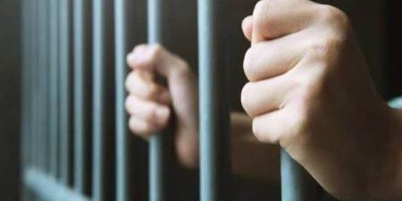 تجديد حبس المتهم بالتعدي على طفلة في شبين القناطر 15 يومًا
