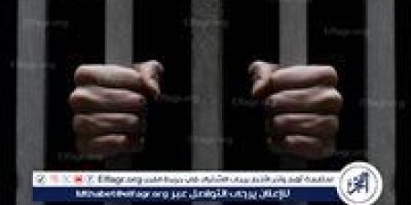 تجديد حبس المتهم بالاعتداء على الطفلة "مريم" بالقليوبية