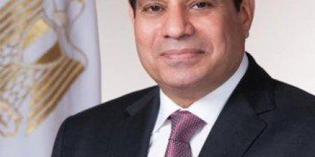 الرئيس المصري: اتفقت مع رئيس جمهورية القُمر المتحدة على تعزيز التعاون الثنائي