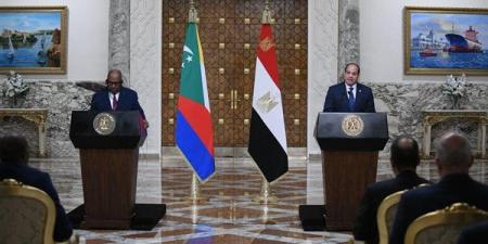 الرئيس السيسي: مستعدون لنقل خبراتنا التنموية إلى الدول الإفريقية