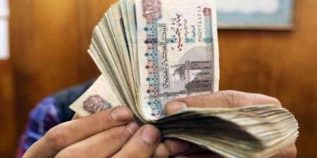 شروط استحقاق المعاش في قانون العمل الجديد 2025.. تعرف عليها