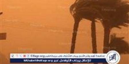"مايو يفاجئ محبي الشتاء".. طقس غير مستقر وأمطار على القاهرة والسواحل اليوم الأحد 4 مايو 2025