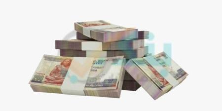 البنك المركزي: التسهيلات الائتمانية للأفراد تتخطى 1.139 تريليون جنيها بنهاية 2024