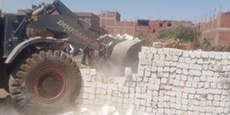 "الإصلاح الزراعي" يتابع حصاد القمح لدى المنتفعين وجهود إزالة التعديات على الأراضي الزراعية