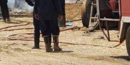 إنقاذ ٢٠٠٠ رأس ماشية من حريق بإحدى المزارع بمركز ومدينة أبو صوير