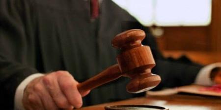 استدرجه بحبه للحمام..المؤبد لمبيض محارة اعتدى على طفل صغير بالدقهلية