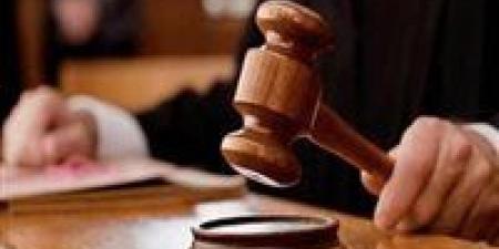المشدد 7 سنوات لشقيقين وبراءة اثنين لاتهامهم باستعراض القوة وقتل شخص بالقليوبية