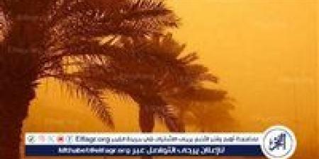 حالة الطقس اليوم وحتى الجمعة 9 مايو 2025.. أمطار متوسطة وارتفاع تدريجي في درجات الحرارة