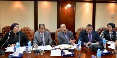 اللجنة الفنية الدائمة لـ"التصدي للشائعات" بـ "الأعلى للإعلام" تعقد أولى جلساتها
