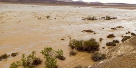 الري: تنفيذ 561 منشأً للحماية من السيول بشمال وجنوب سيناء لحماية المواطنين من الأمطار