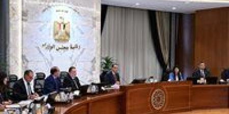 إنعقاد المنتدى المصري الأمريكي نهاية شهر مايو الجاري