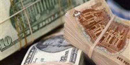 عاجل| 8.74 مليار دولار.. ارتفاع تحويلات المصريين بالخارج في الربع الأخير من 2024