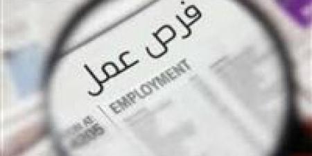 راتب يصل لـ 243 ألف جنيه...تفاصيل فرص عمل السعودية