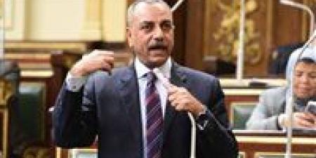برلماني يطالب بإعادة النظر في القيمة الإيجارية ومدة تحرير العقد بقانون الإيجار القديم