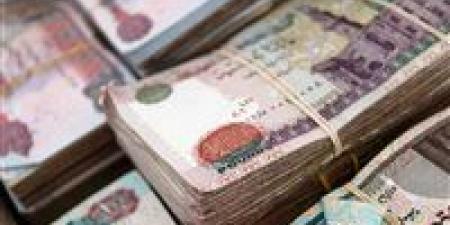 الضرائب تحدد آخر موعد لتقديم إقرارات ضريبة الدخل أو القيمة المضافة بدون عقوبات