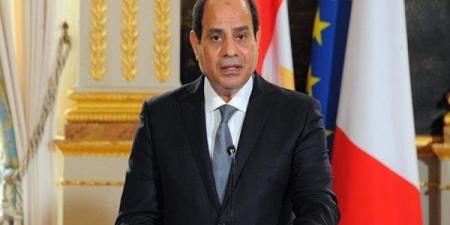 السيسي: البنية التحتية في غزة تم تدميرها بالكامل جراء الحرب الإسرائيلية