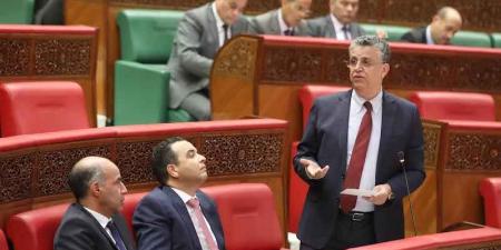 وهبي: ندرس تحميل الآباء والمدرسين مسؤولية جنائية عن أفعال القاصرين