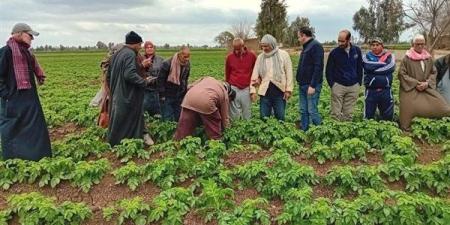 "المركزي لمتبقيات المبيدات" و"كروب لايف مصر" ينظمان ورشة عمل لمنتجي العنب بالمنيا