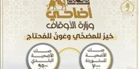 البلدي ٩٥٠٠ جنيه.. انطلاق حملة صكوك الأضاحي لعام ١٤٤٦هـ / ٢٠٢٥م اليوم