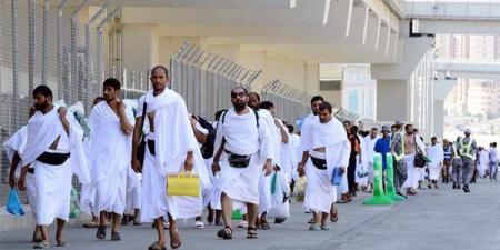 موسم الحج.. جهود سعودية استثنائية لحماية ضيوف الرحمن
