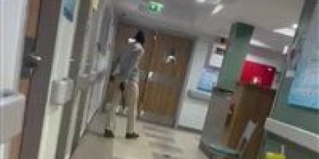 فيديو اقتحام مستشفى حميات أسوان بسلاح أبيض يثير الجدل.. التفاصيل الكاملة
