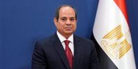برلماني: زيارة الرئيس لروسيا ومشاركته في احتفالات عيد النصر تعزز الدور المصري على الساحة الدولية
