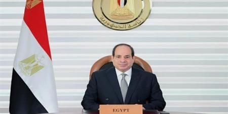 السيسي لـ بوتين: إقامة الدولة الفلسطينية سيحقق السلام في المنطقة