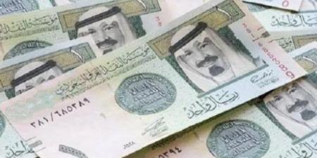 مع اقتراب موسم الحج.. سعر الريال السعودي اليوم الجمعة 9 مايو 2025