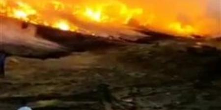 حريق الغربية يلتهم 1000 فدان وخسائر تصل لـ5 مليون جنيه