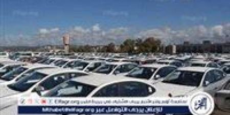 شعبة قطع غيار السيارات: نستورد 98% من احتياجاتنا.. نتوقع تراجع الاستيراد قريبًا