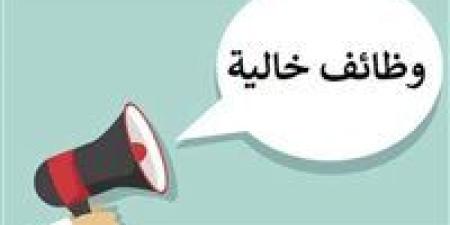 وظائف المدرسة المصرية الدولية بالشيخ زايد.. الشروط وطريقة التقديم