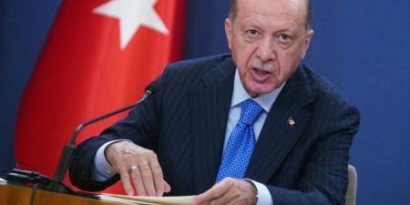 أردوغان: قرار تفكيك جماعة حزب العمال الكردستاني المسلحة مهم