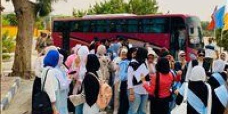 ليست من المواد الأساسية.. تفاصيل ومواصفات ...