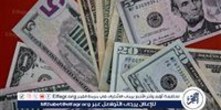 "شبكة تجفيف العملة".. أولى جلسات محاكمة 9 متهمين بينهم كويتي بتهمة ضرب الاقتصاد الوطني