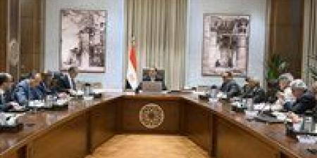 رئيس الوزراء يتابع الإجراءات اللوجستية لاحتفالات افتتاح المتحف المصري الكبير