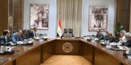 رئيس الوزراء يتابع الإجراءات اللوجستية لحفل افتتاح المتحف المصري الكبير
