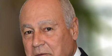 أبو الغيط يشيد باستعدادات العراق للقمة العربية