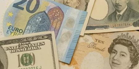 أسعار العملات الأجنبية أمام الجنيه اليوم الثلاثاء 13-5-2025 في البنك المركزي المصري