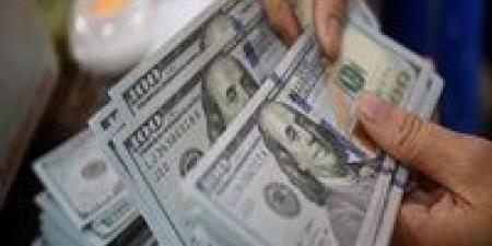 استقرار سعر الدولار اليوم الثلاثاء 13-5-2025 أمام الجنيه المصري