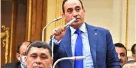 تحرك برلماني بشأن تضرر خريجي المعاهد الصحية من قرار جامعة دمنهور