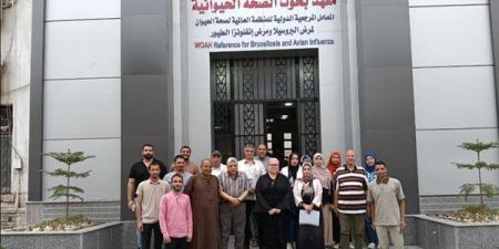 بحوث الصحة الحيوانية ينظم دورة تدريبية لمربي الدواجن بالمحافظات