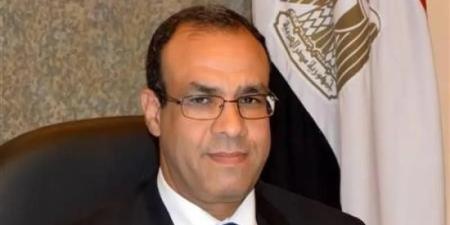 عبدالعاطي: توافق عربي على دعم سوريا واليمن وتأمين الملاحة